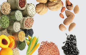 Agriculture Seeds